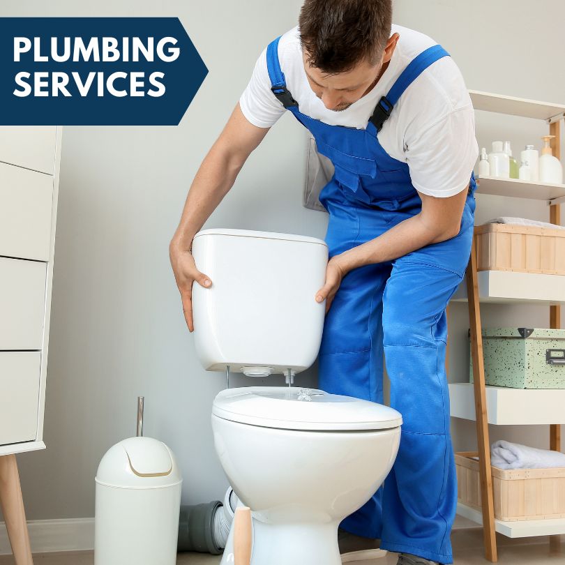 Plumbing Company in Roseville, MI